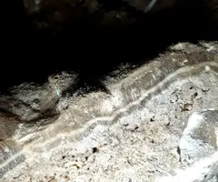 Fotografia de MUXÍ, COVA DE (6 de 6)