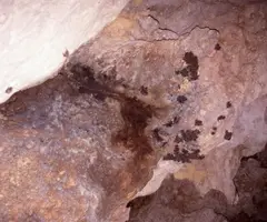 Fotografia de ESCALETA, COVA DE L' (5 de 8)