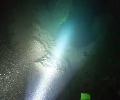Fotografia de FINESTRA DEL ROMANÍ, COVA DE LA (3 de 4)