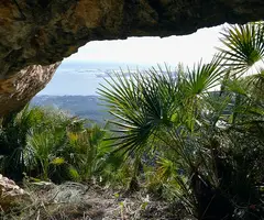 Photograph of PUNTA DE LA BARQUETA, COVA DE LA (3 of 5)