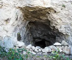Fotografía de TEIX, COVA DEL (1 de 2)