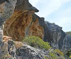 Fotografia de APOTECARI, ABRICS DE L' (2 de 4)