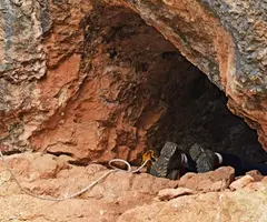 Fotografía de RIERAL, COVA DEL (4 de 4)