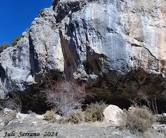 Fotografia de OLINI, FORAT DE L' (1 de 9)