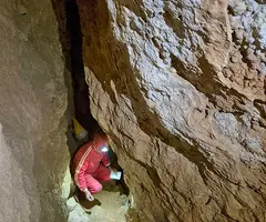 Fotografia de CINGLE DELS PINS ALTS, COVA DEL (4 de 8)