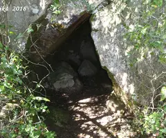 Fotografía de JOANS, AVENC DELS (1 de 5)