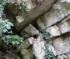 Fotografia de SC-30, COVA (2 de 3)