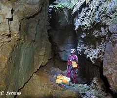 Fotografia de PARDINA, GRALLER Nº2 DE LA (8 de 9)