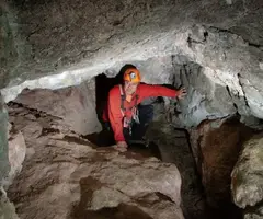 Fotografia de CINGLE DE CAL DURO, COVA DEL (7 de 7)