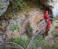 Fotografía de CINGLE DE ROCA ALTA, AVENC DEL (3 de 8)