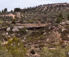 Photograph of MOIÀ, COVA DEL (1 of 3)
