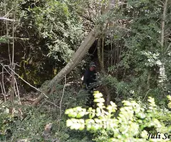 Fotografia de FUSÓ, FORAT DEL (1 de 1)