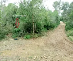 Fotografía de MARIA, AVENC (1 de 3)