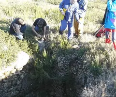 Fotografia de BOSC DEL MOLÍ DE CALÇ, AVENC DEL (1 de 2)