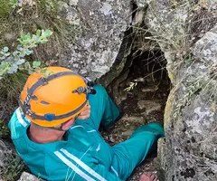 Photographie de CELLER D'EN PLANES, FORAT DEL (2 sur 2)