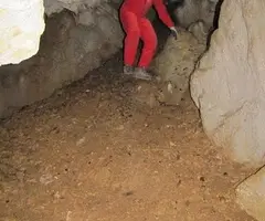 Fotografia de PRATS, COVA DELS (4 de 8)