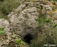Photographie de CISTERNONS, CAU OEST DELS (1 sur 4)