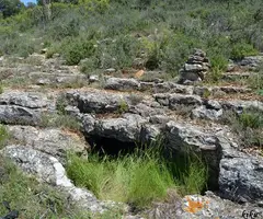Fotografía de REMIGIO, BABORELL D'EN (1 de 5)
