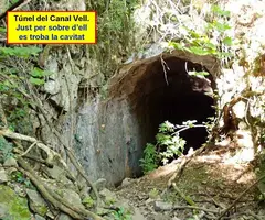 Fotografía de MONTGLÒS, COVA DE (2 de 5)