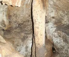 Fotografía de ALSAMORA, GRALLERA PETITA D' (5 de 6)