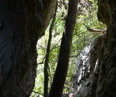 Fotografía de PICORANDAN, FORADADA DE (1 de 4)