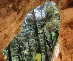 Fotografia de CANAL DEL CASTELL DE ROSET, COVA DE LA (4 de 4)