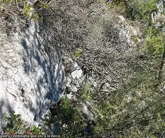 Fotografia de CAMBRETES, COVA DE LES (2 de 6)