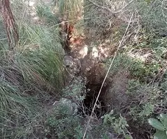 Fotografía de CLAR Nº 4, AVENCÓ (2 de 2)