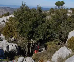 Fotografía de MARGALLÓ, AVENC DEL (2 de 7)