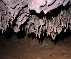 Fotografia de CAMÍ DE LES SENIOLES, AVENC DEL (6 de 6)