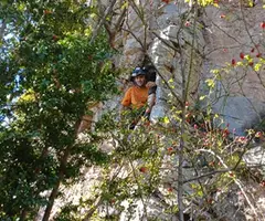 Fotografia de PAELLA, FORAT DE LA (1 de 4)