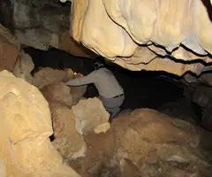Fotografia de SOLANA, COVA DE LA (4 de 6)