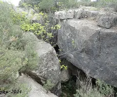 Fotografía de CINGLE DELS PINS ALTS, ESQUERDA DEL (2 de 7)
