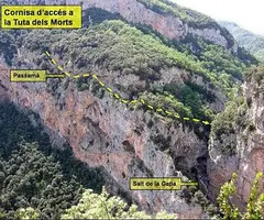 Fotografia de MORTS, TUTA DELS (1 de 3)