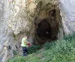 Fotografia de ÓS, COVA DE L' (2 de 4)
