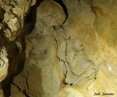 Photographie de FONT, COVA DE LA (6 sur 11)