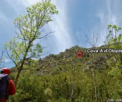 Fotografía de OLOPTE, COVA GRAN D' (1 de 7)