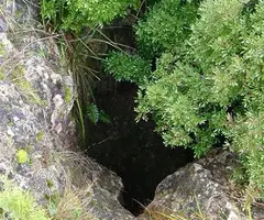 Fotografía de PUIGMOLTÓ,  AVENC DE (2 de 5)