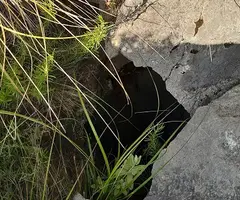 Fotografía de ESTRENA, AVENC DE L' (4 de 4)