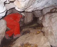 Fotografía de PASSANT DEL FAIG, COVES DEL (3 de 9)