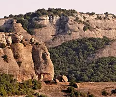 Fotografia de PORQUERISSA, LA (1 de 4)