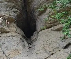 Fotografia de SANT FELIU, COVA DE (1 de 1)