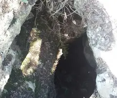 Fotografia de MASSEGA, COVA (1 de 2)