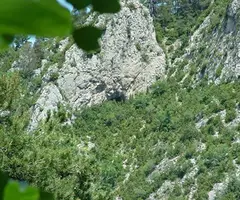 Photograph of AMAGADA DEL SAÜC, BALMA (1 of 4)