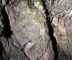 Fotografia de SERRA DEL MAS, COVA SM-14 DE LA (4 de 4)