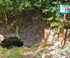 Fotografia de JOSEP CASTELLET, AVENC (1 de 1)