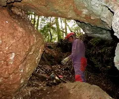 Fotografía de MASIET, COVES DEL (2 de 8)
