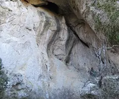 Fotografía de COLOM, COVA DEL (1 de 1)