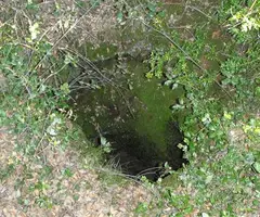 Fotografia de CURS, POU DEL (2 de 2)