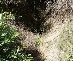 Fotografia de VINYA D'EN TOMÀS, AVENC DE LA (1 de 9)
